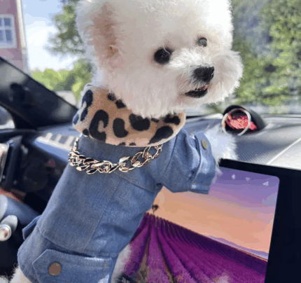 Chaleco denim c/cuello animal print y decorado c/cadena.Talle L