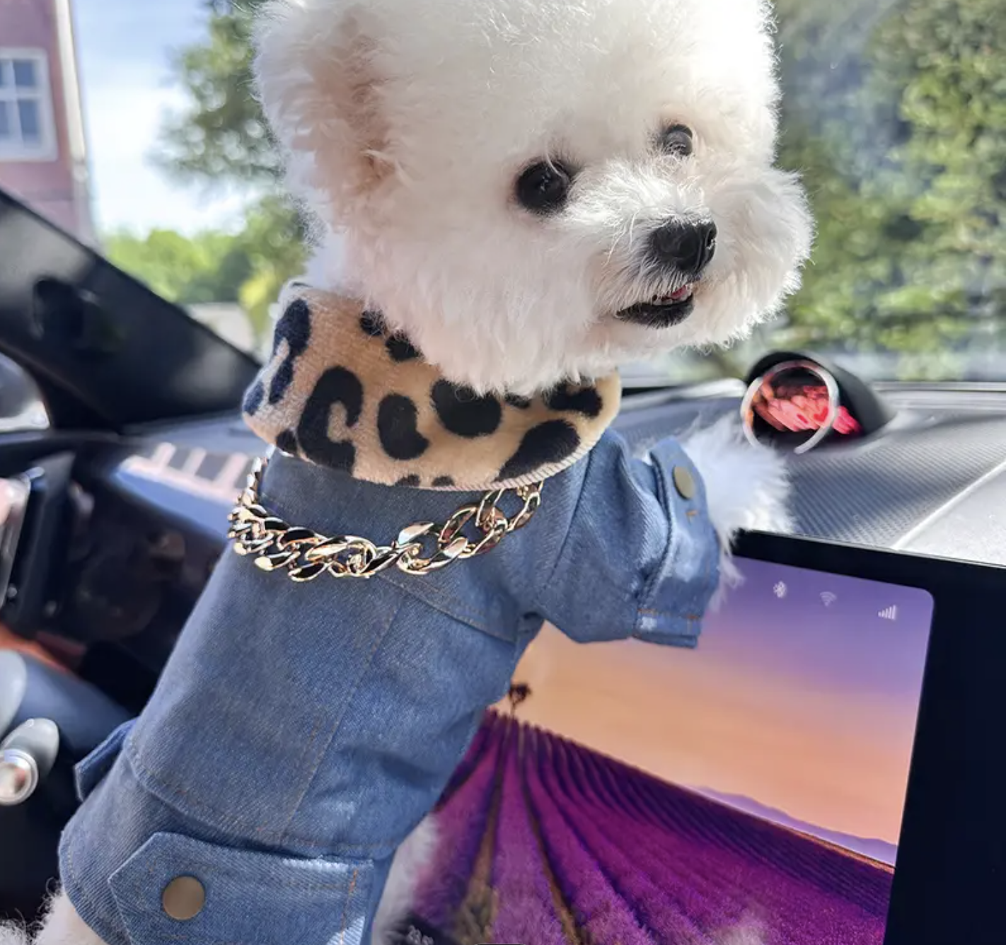 Screenshot 2025-10-13 at 3.40.01 PM