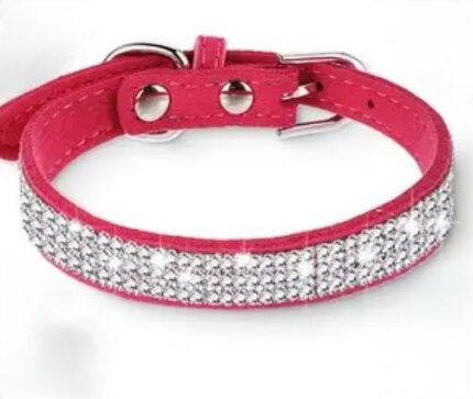 Collar decorado c/strass. Talle XS