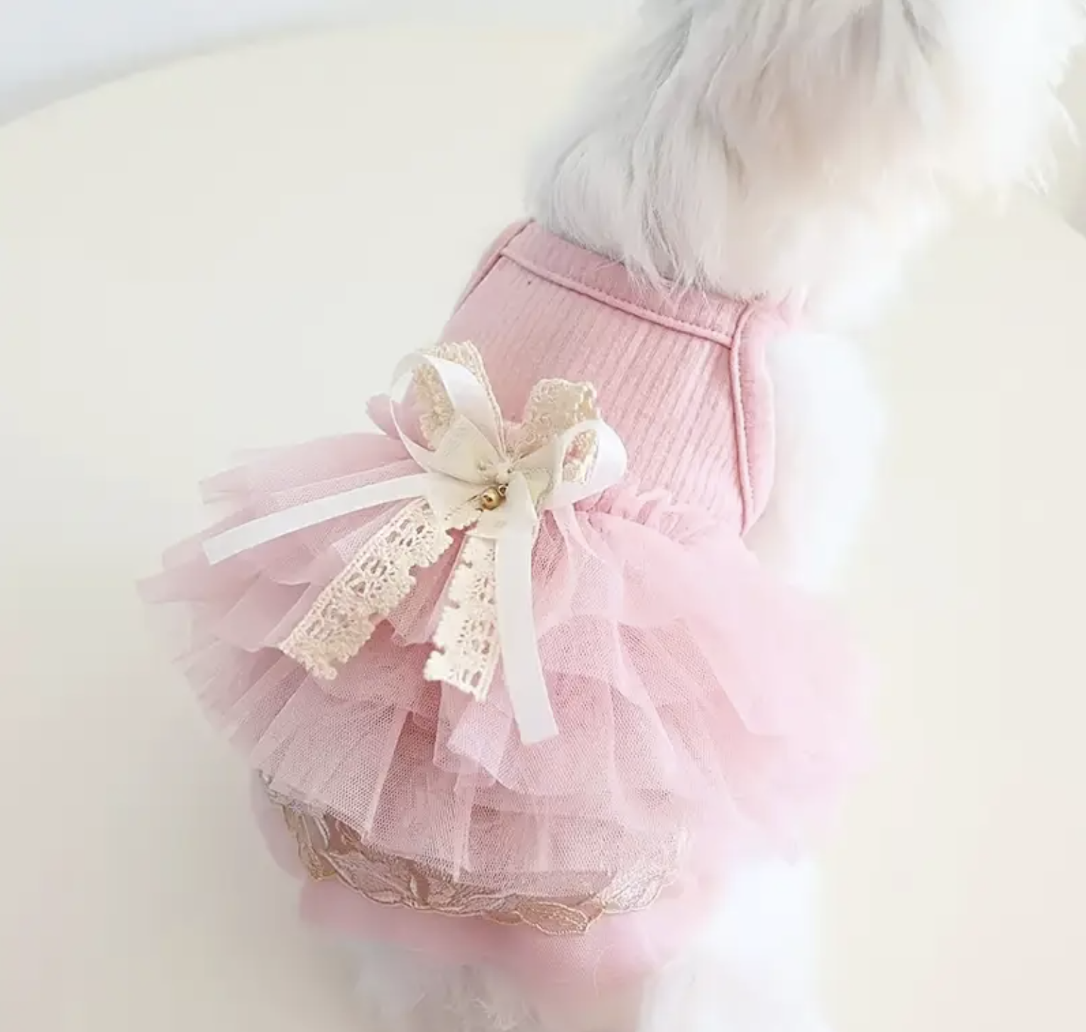 Screenshot 2025-08-27 at 4.22.31 PM