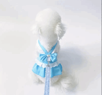 Arnes turquesa decorado c/moño. Trae correa. Talle S