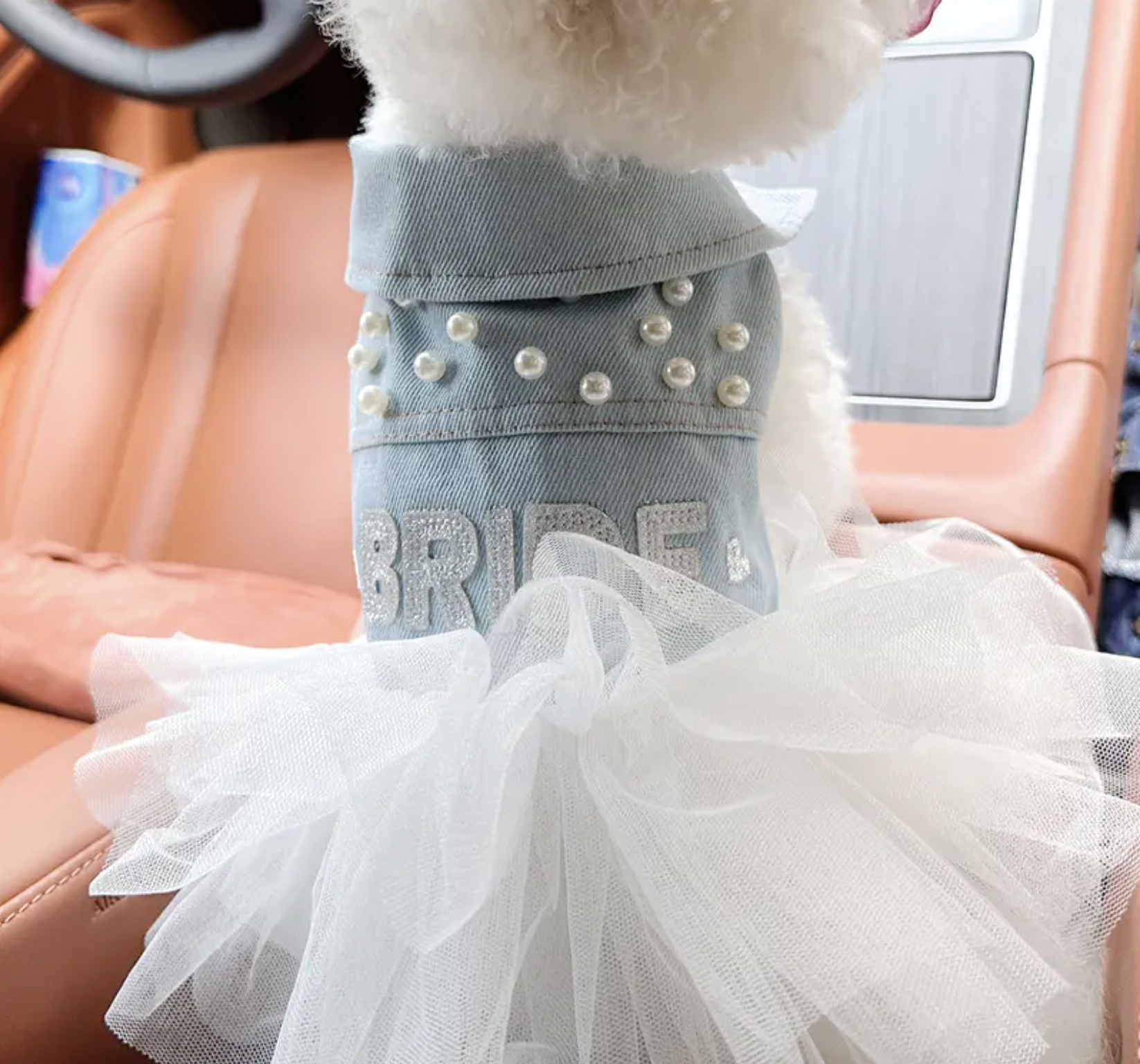 Screenshot 2025-10-24 at 10.56.27 PM