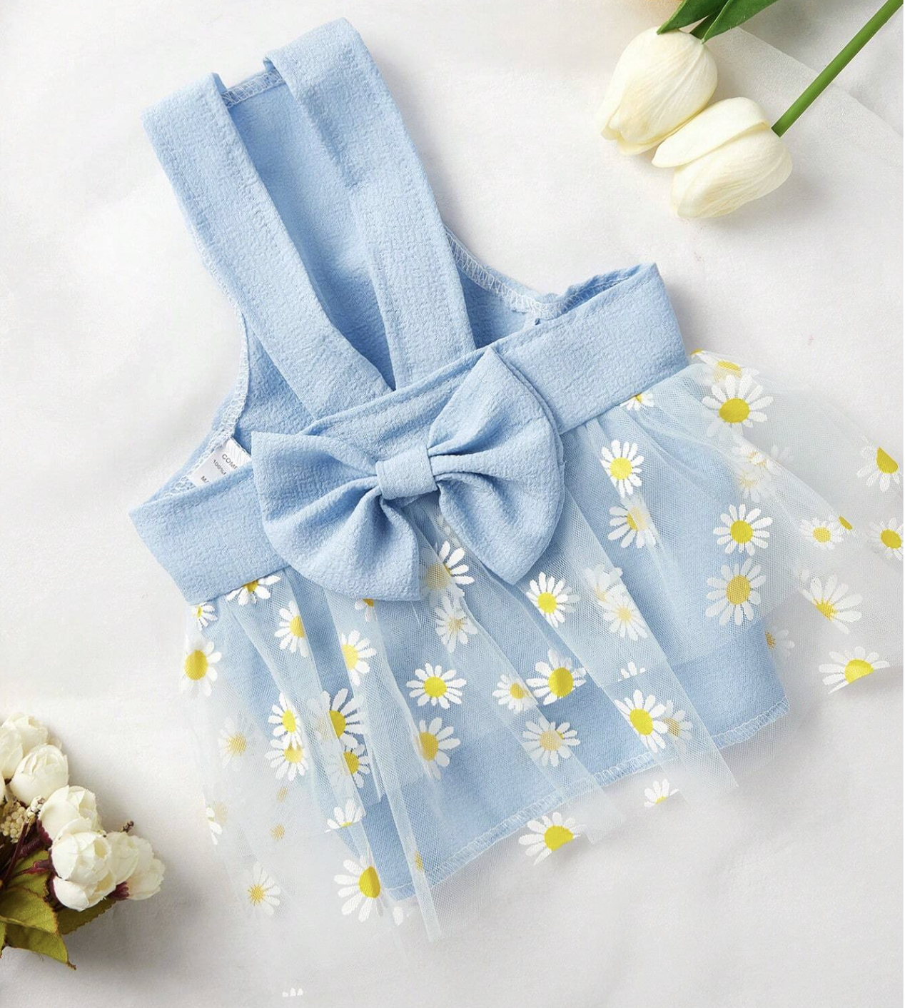 Screenshot 2025-11-10 at 11.32.46 PM