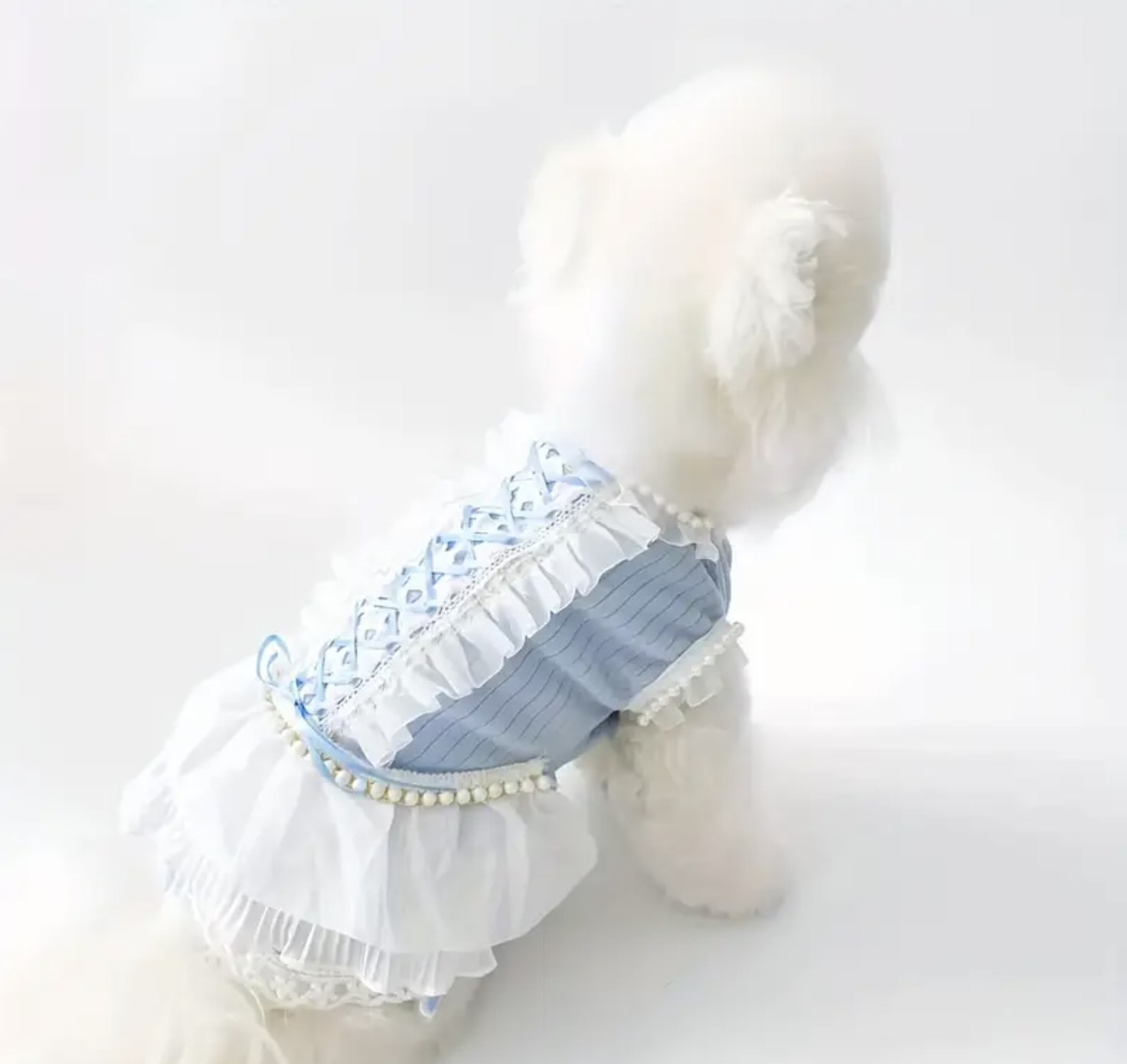 Screenshot 2025-11-11 at 12.30.02 PM