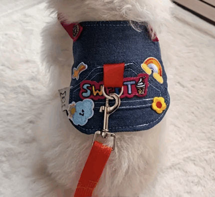 Canchero arnes denim c/apliques.Trae correa. Talle L