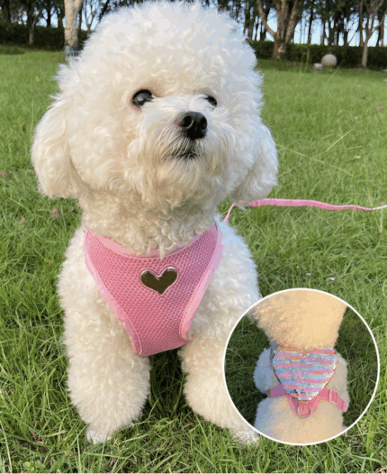 Arnes rosa decorado con corazon de lentejuelas.Trae correa.Talle L