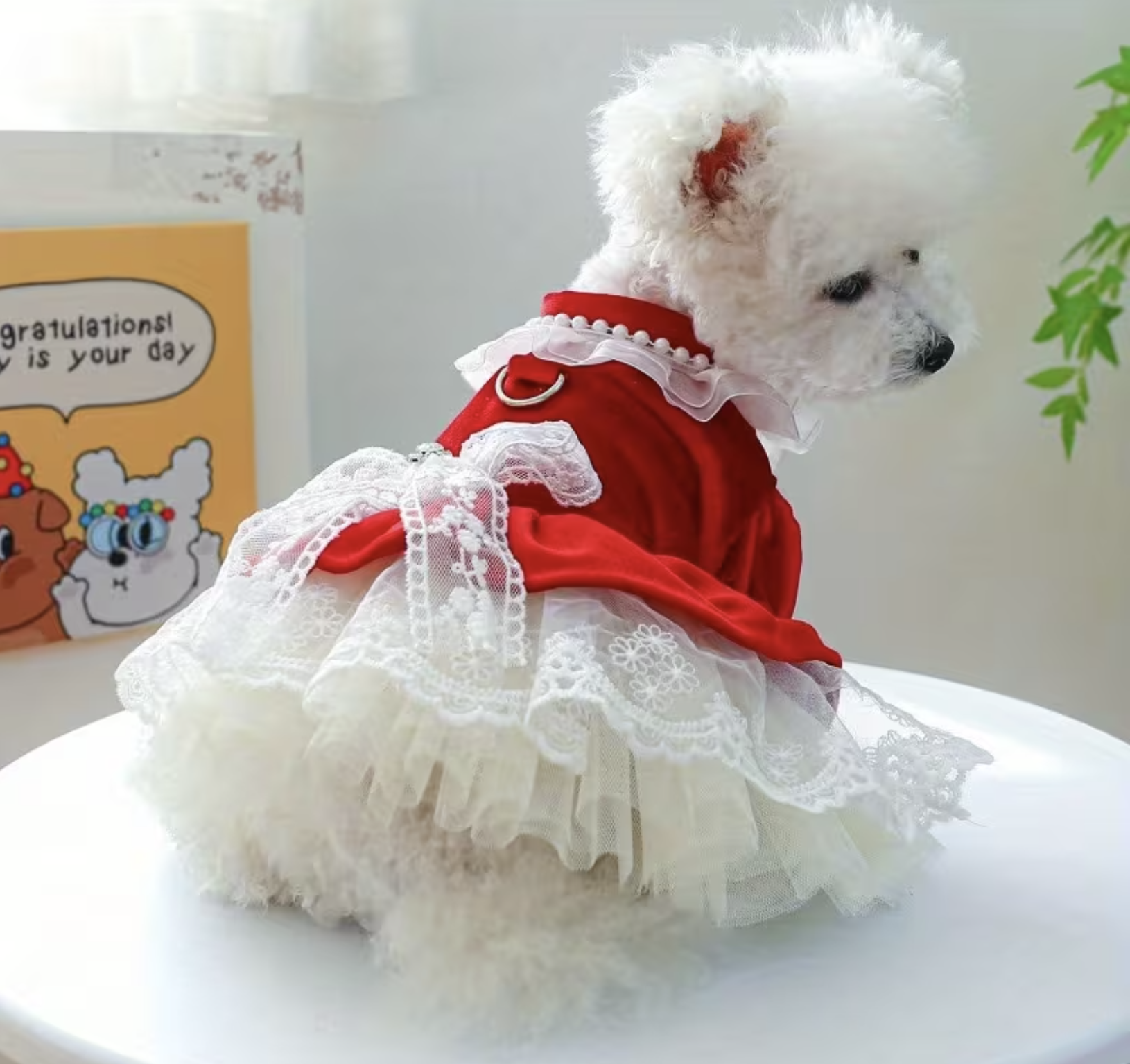 Screenshot 2026-01-08 at 12.31.49 PM