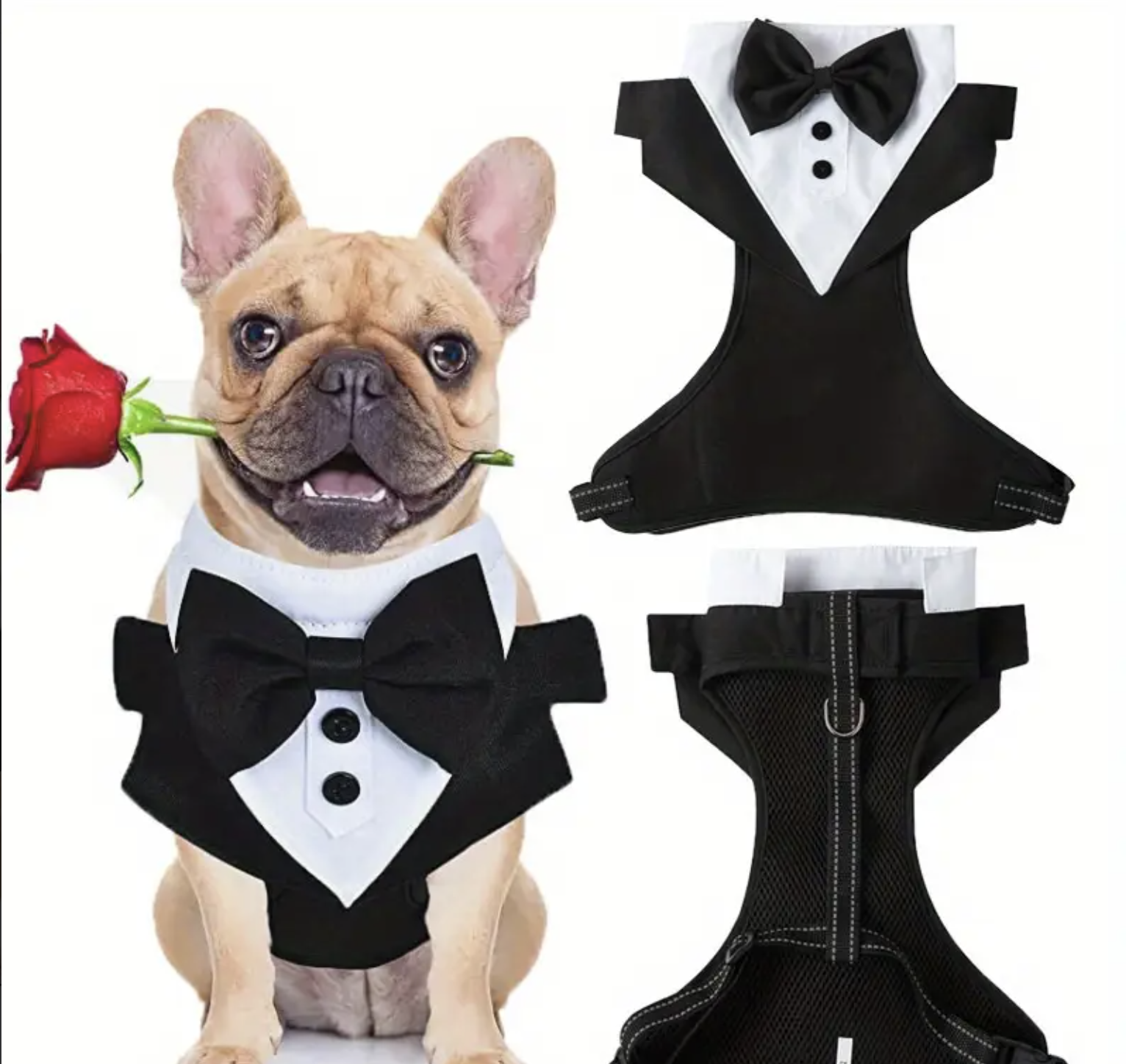 Screenshot 2025-08-28 at 6.34.14 PM